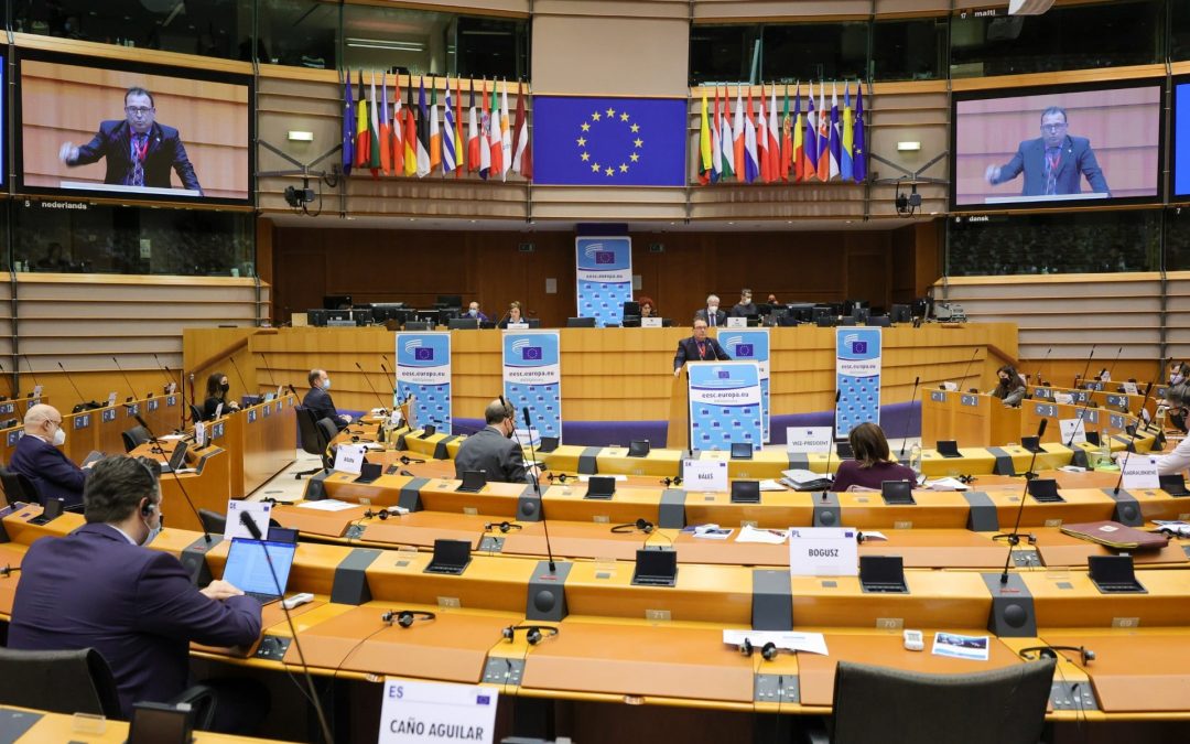 567. plenarna sjednica EGSO-a