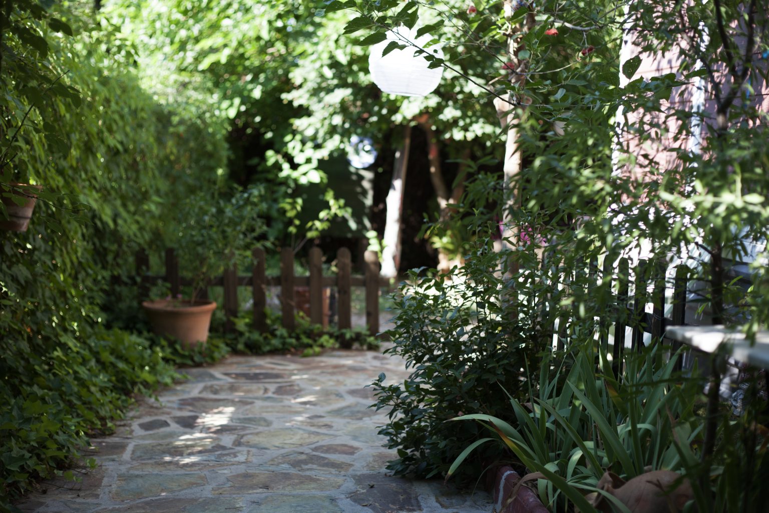 ozelenjivanje dvorišta