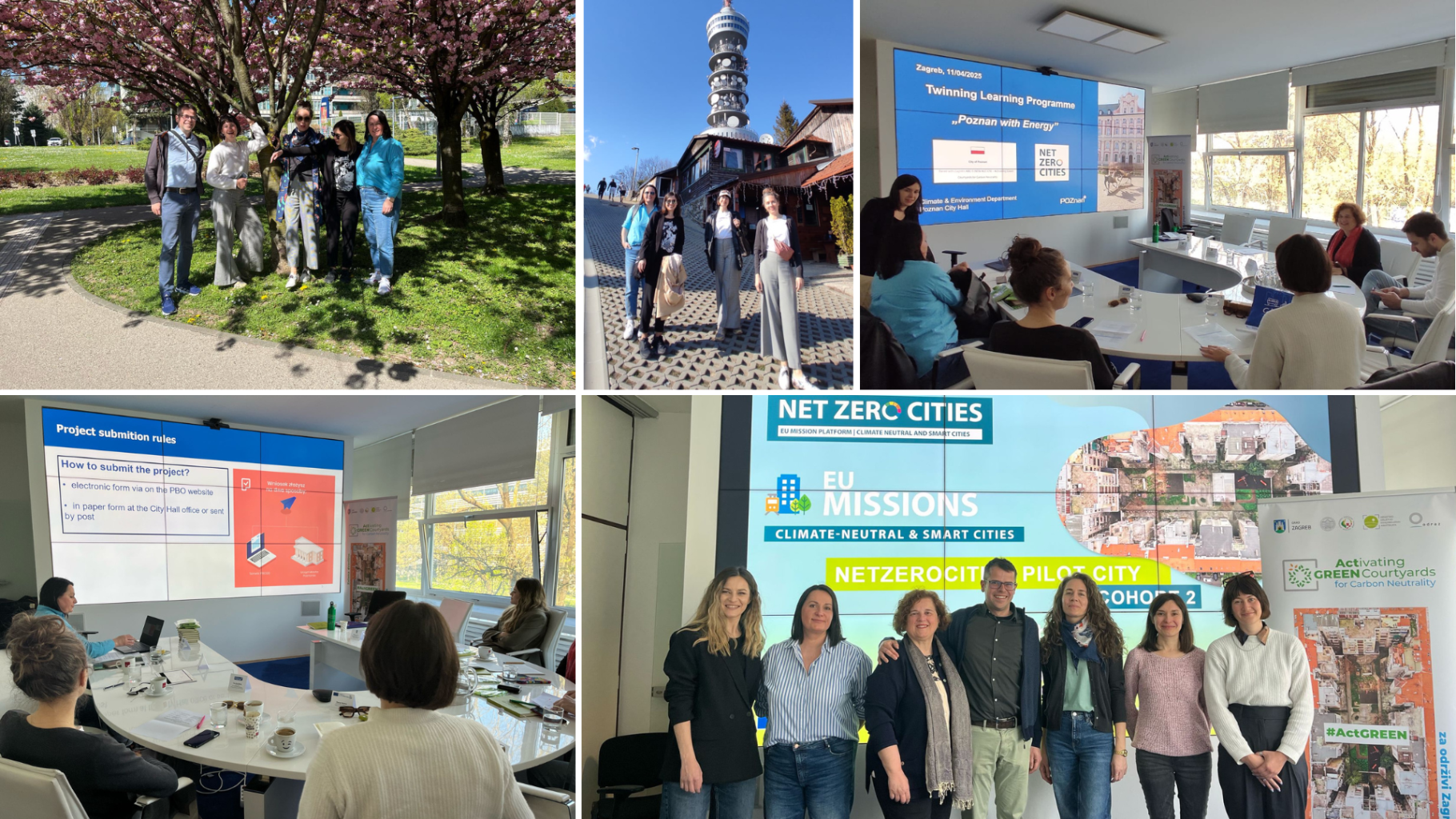 twinning learning program act green