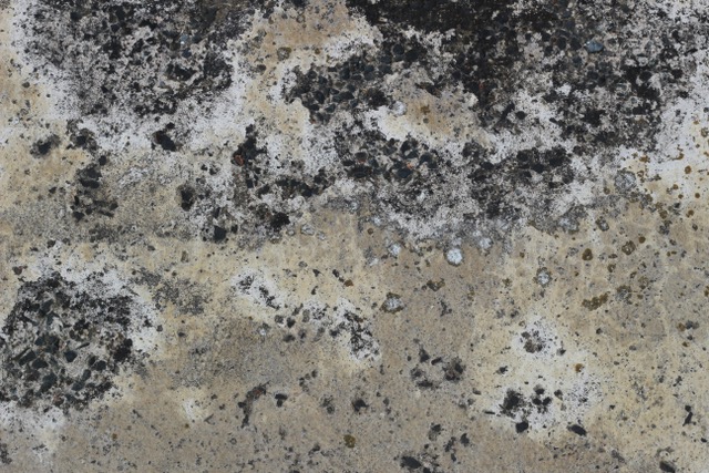 Predstavlja li plijesan u tuš kabinama ozbiljnu opasnost za zdravlje?