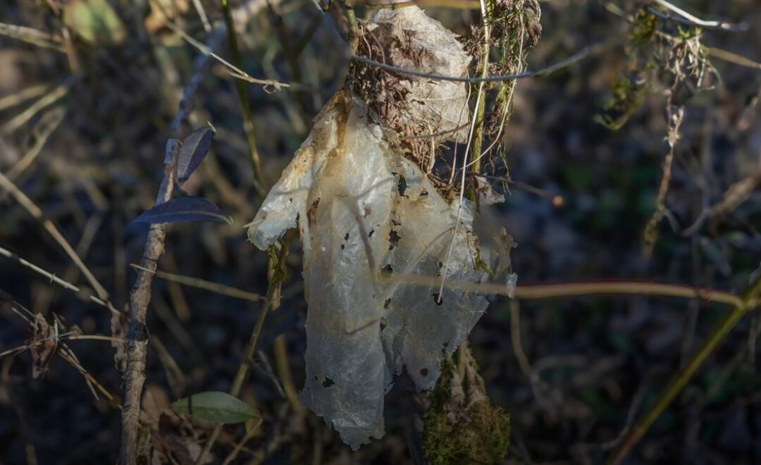Kad retorika pregazi činjenice: Analiza tvrdnje o „ekocidu“ u Vruljici.
