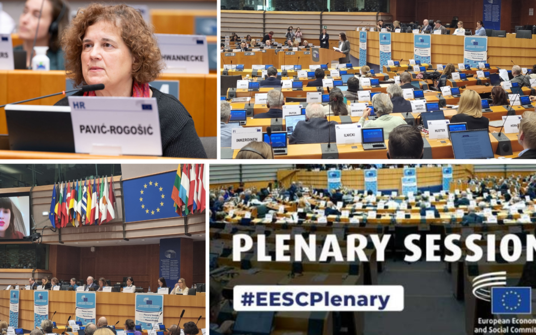 602. plenarno zasjedanje EGSO-a (21.– 22. 1. 2026.)