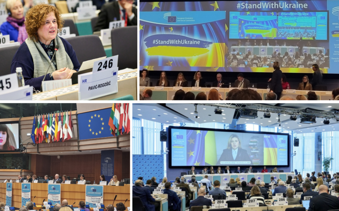 Rasprava u EGSO-u „Četiri godine poslije: kako osigurati oporavak i nadu za mlađu generaciju Ukrajine“