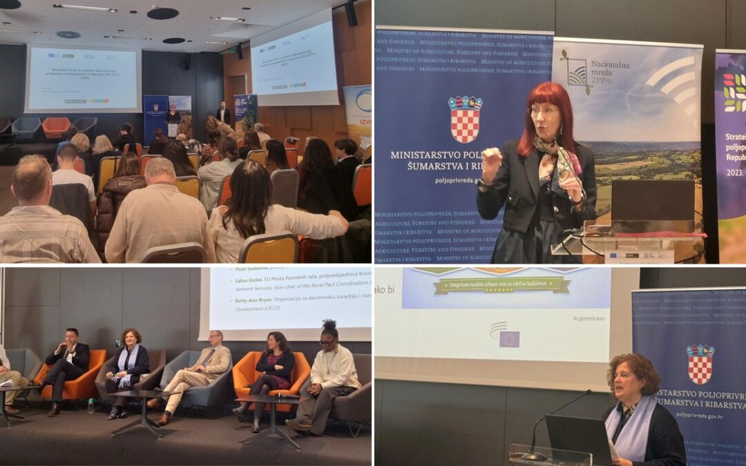 Budućnost ruralnog razvoja nakon 2027.: ključne poruke i preporuke EGSO-a predstavljene u Tuhelju