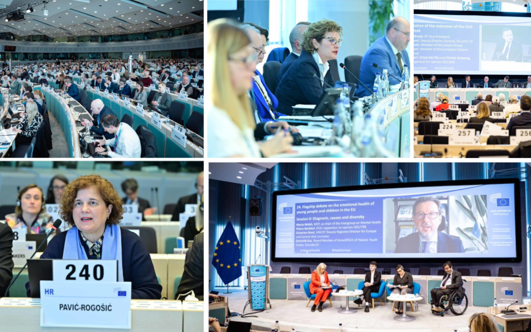 604. plenarno zasjedanje EGSO-a