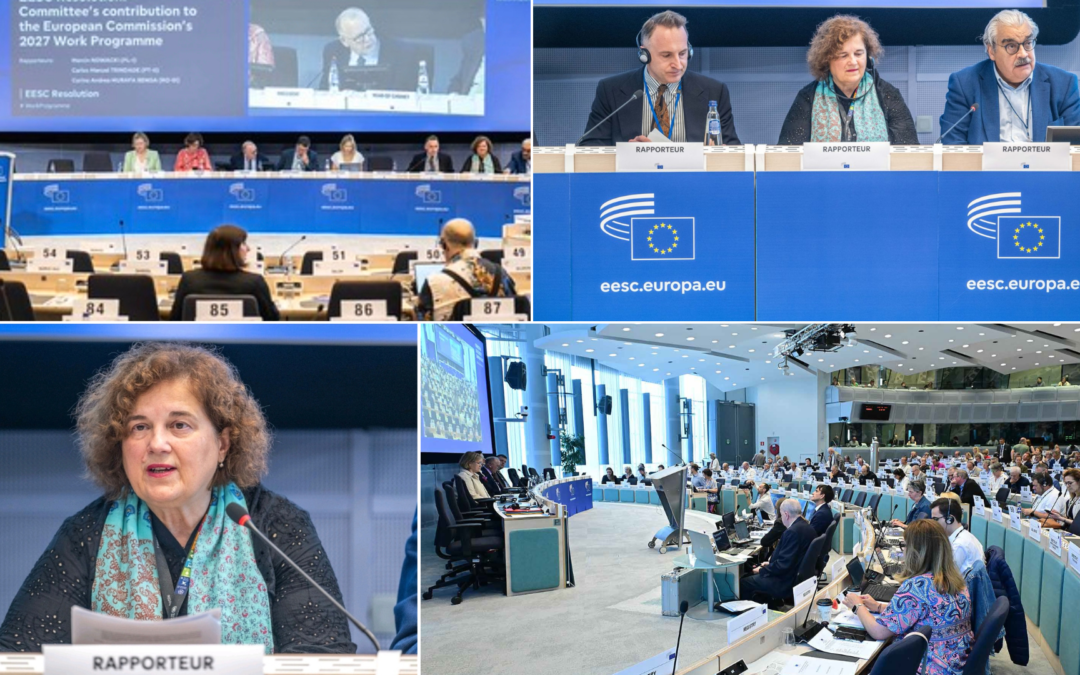 EGSO usvojio rezoluciju o programu rada Komisije za 2027. u kojoj se kao prioriteti ističu konkurentnost, otpornost i održivost