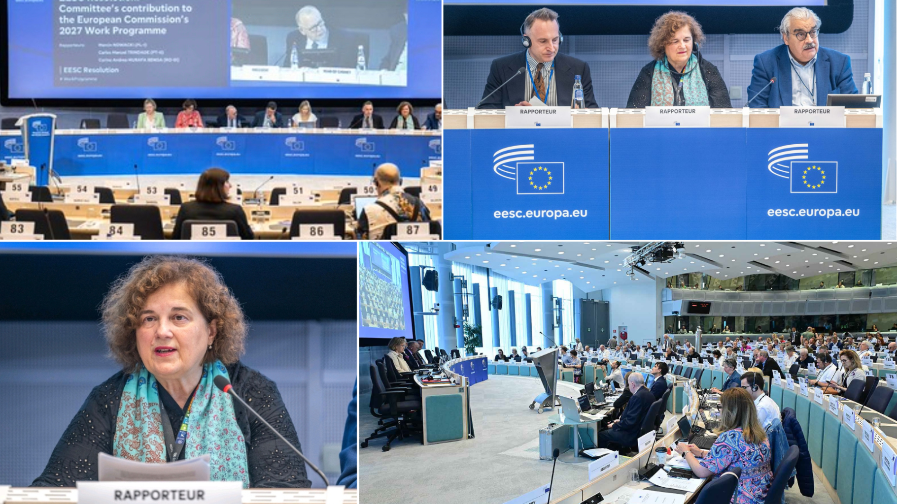 EGSO usvojio rezoluciju o programu rada Komisije za 2027.