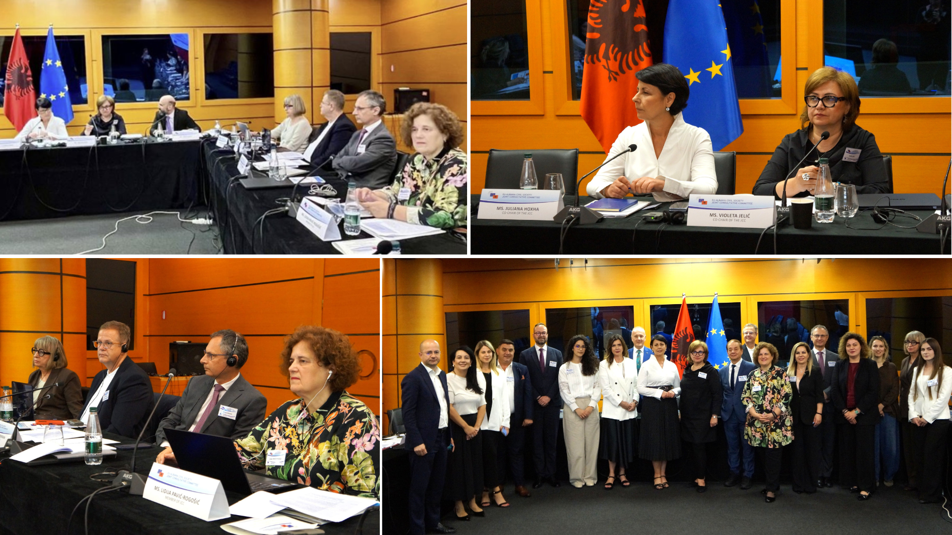 3. sastanak Zajedničkog savjetodavnog odbora civilnog društva EU-Albanija