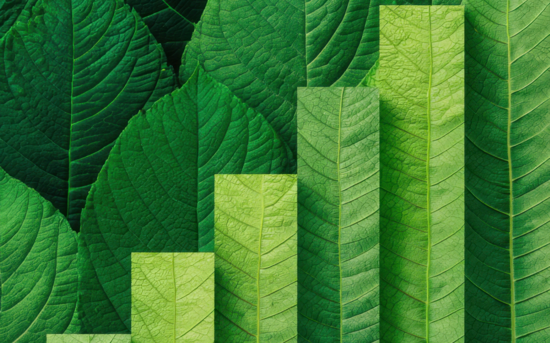 Klimatsko financiranje – temelj globalne pravednosti