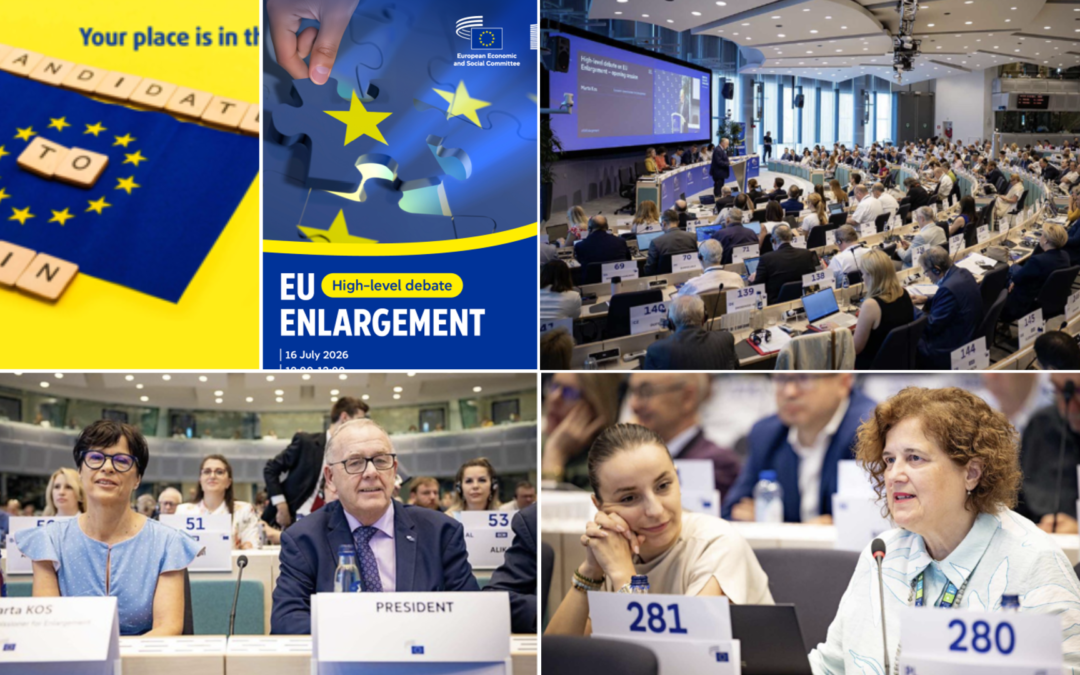 Na 607. plenarnoj sjednici EGSO-a raspravljalo se o proširenju EU-a, prioritetima irskog predsjedanja  i kvalitetnim radnim mjestima