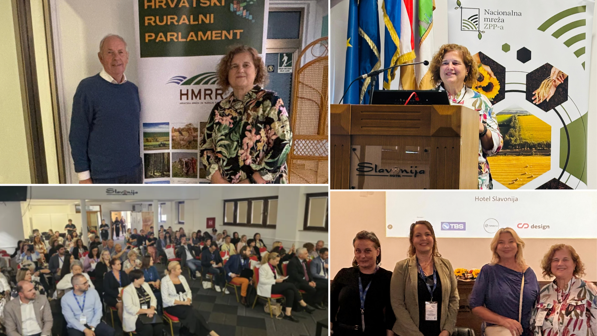 ruralna procjena (rural proofing)